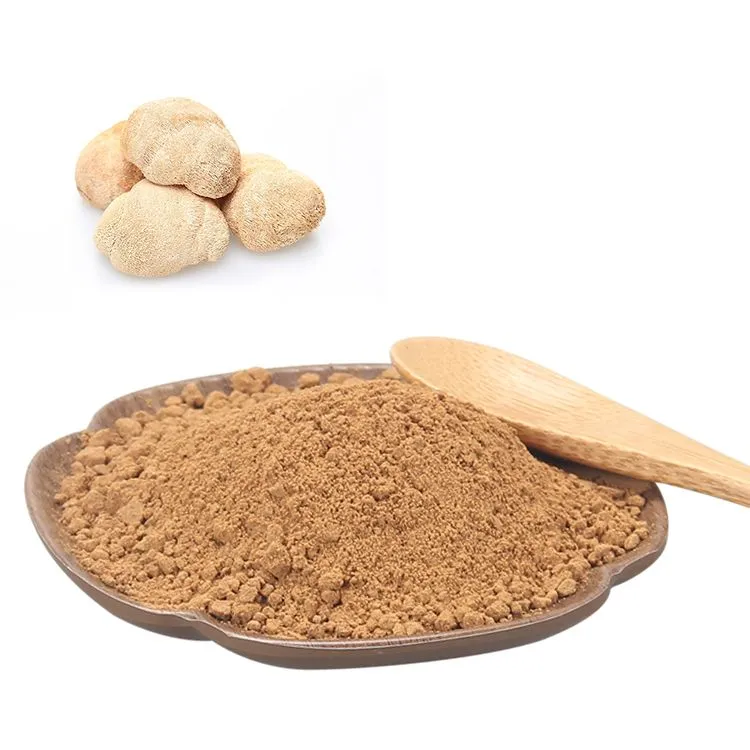 Lion's Mane Mushroom Extract Powder