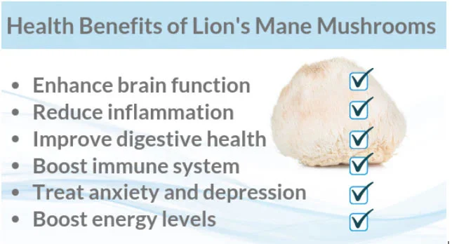 Functions of Polysaccharide Lion's Mane