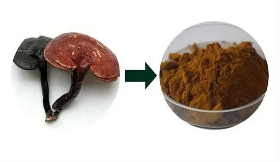 Reishi Mushroom Polysaccharides