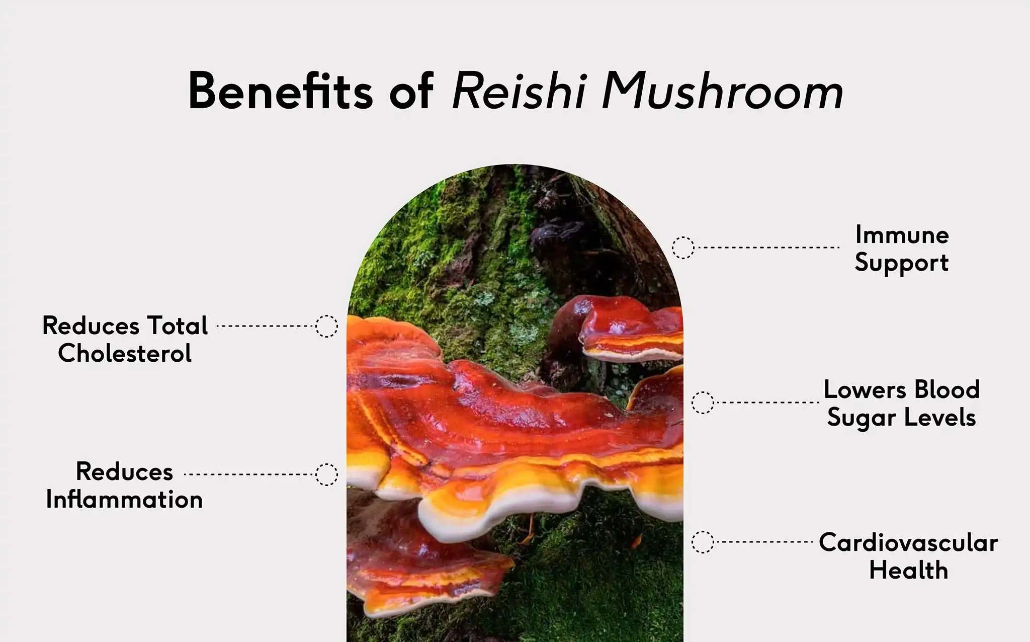 Benefits of Reishi Mushroom Polysaccharides