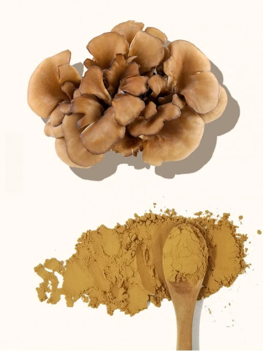 Maitake Mushroom Extract Powder