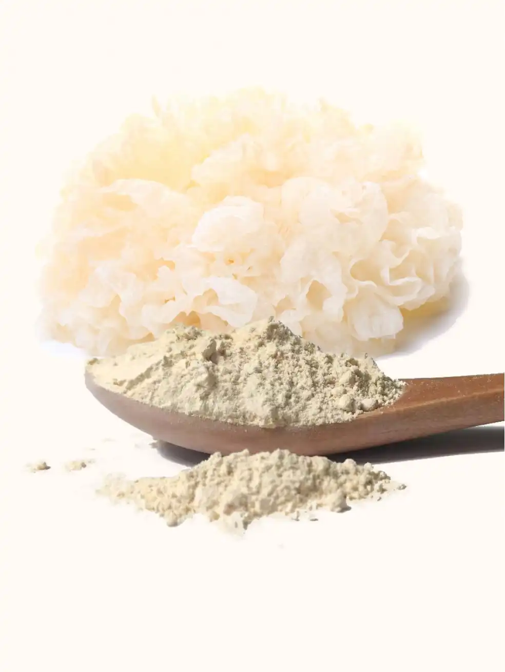 Tremella Mushroom Extract Powder