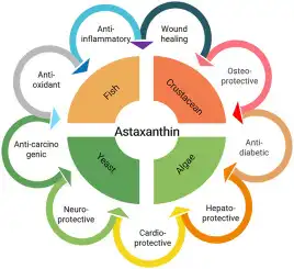 Benefits of astaxanthin