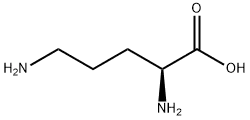 Structure of L-Ornithine