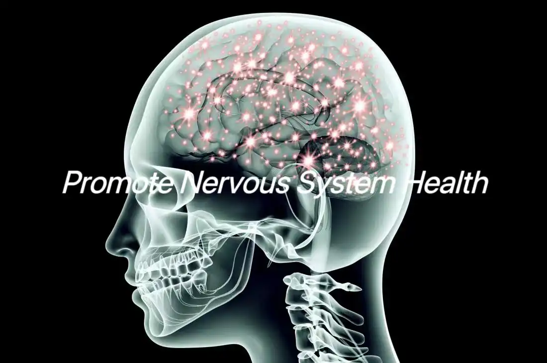 Promote Nervous System Health