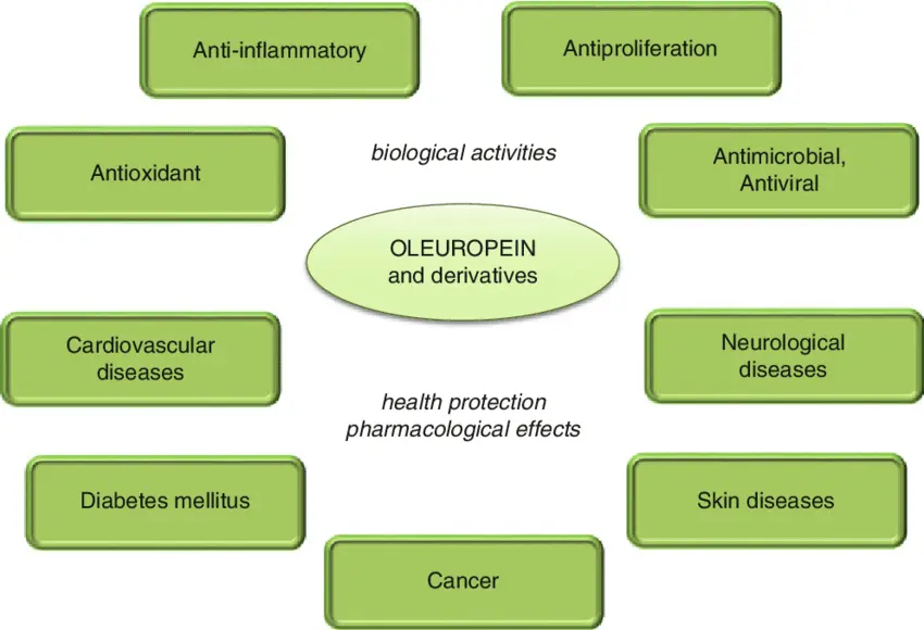 Benefits of Oleuropein and its derivatives