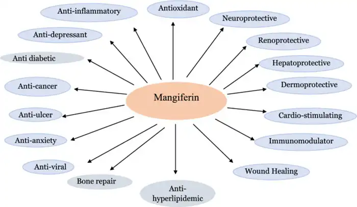 Benefits of Mangiferin