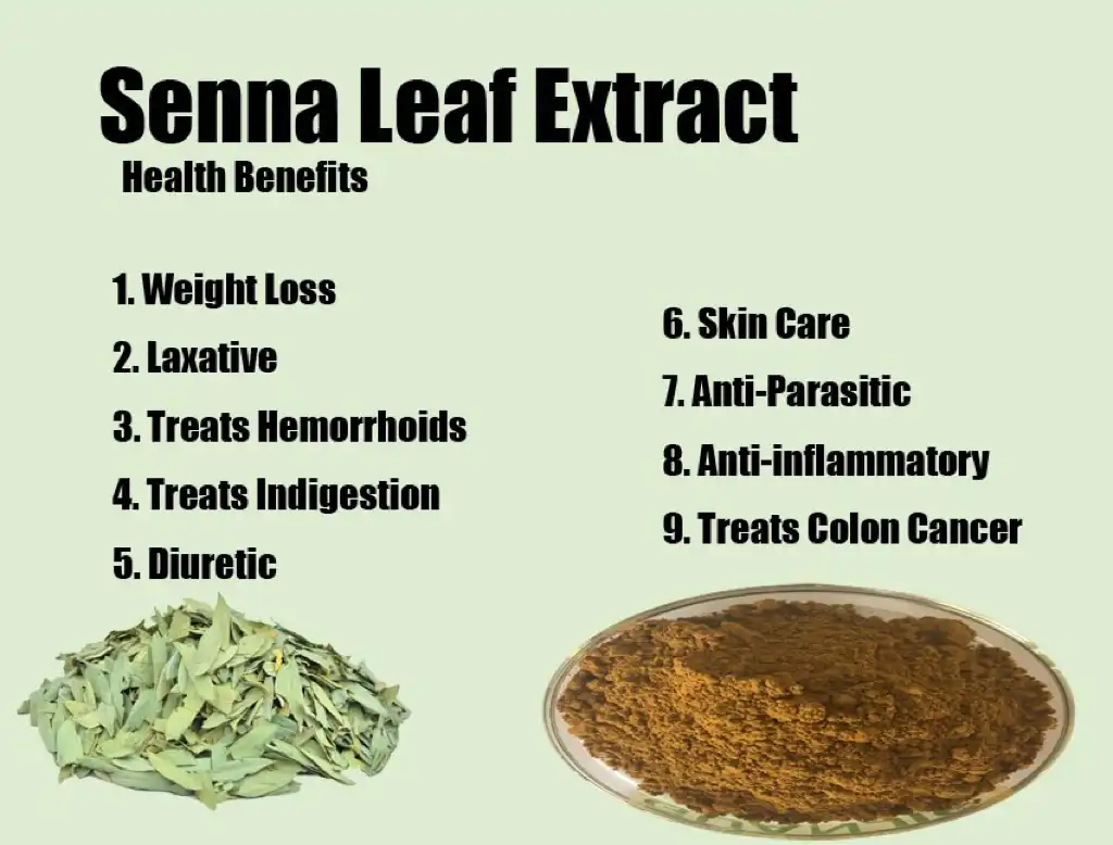 Benefits of Senna Leaf Extract Powder