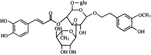 Structure of Cistanche Extract Powder