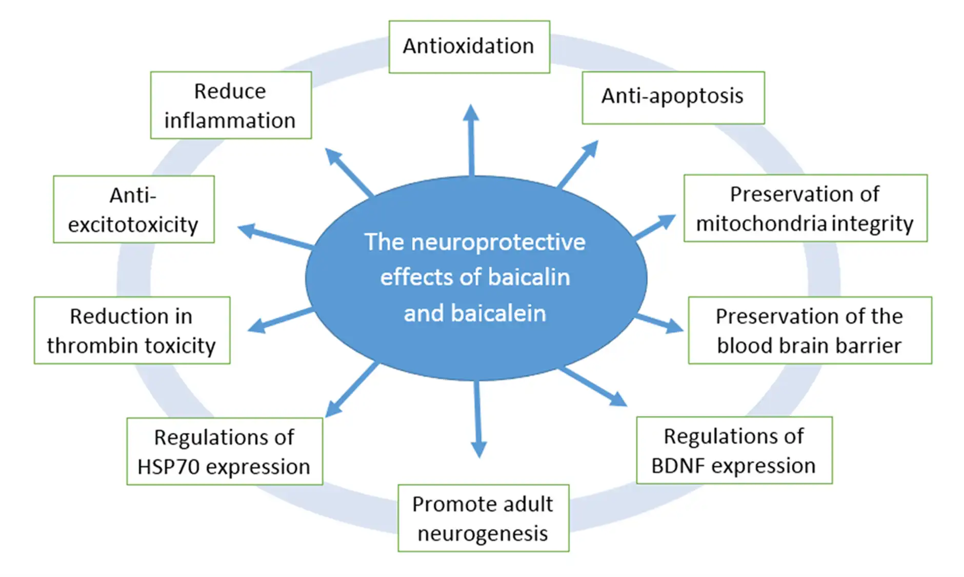 Sources of Baicalin