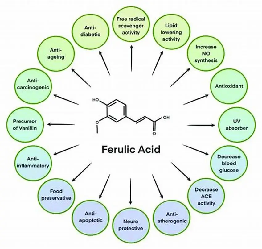 benefits of ferulic acid