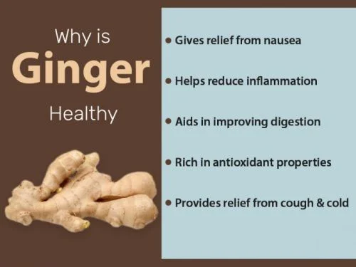 Benefits Of Organic Ginger Extract