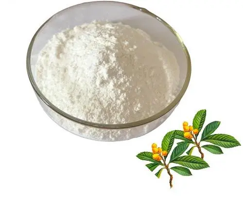 Corosolic Acid Powder