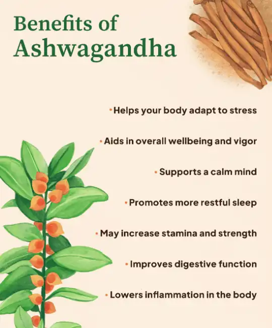 Functions of Ashwagandha