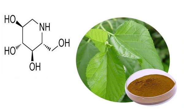 Mulberry Leaf Extract Powder