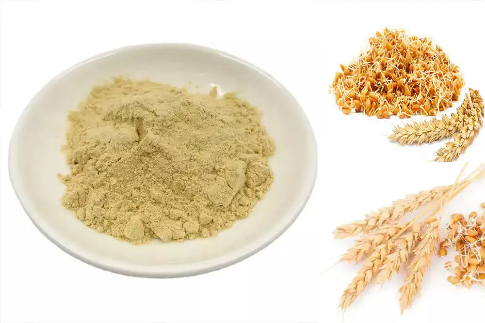 Wheat Germ Extract Powder