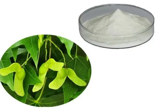 Nervonic Acid Powder