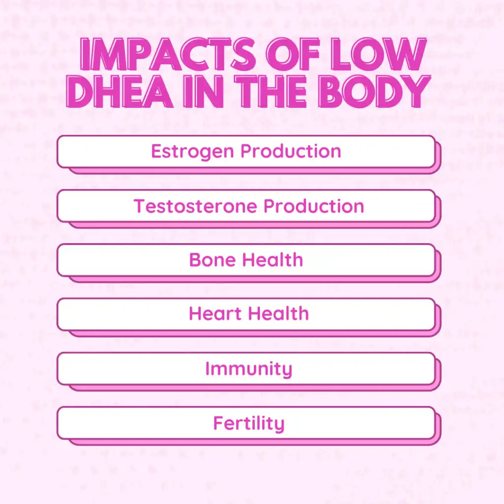 Functions of Dehydroepiandrosterone Powder