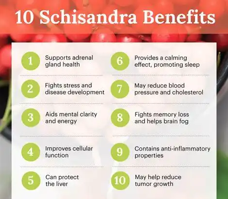 health benefits of Schisandrin A