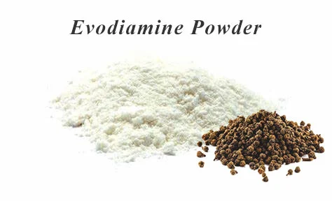 Evodiamine Powder