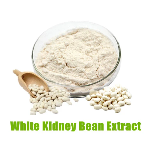 White Kidney Bean Extract Powder