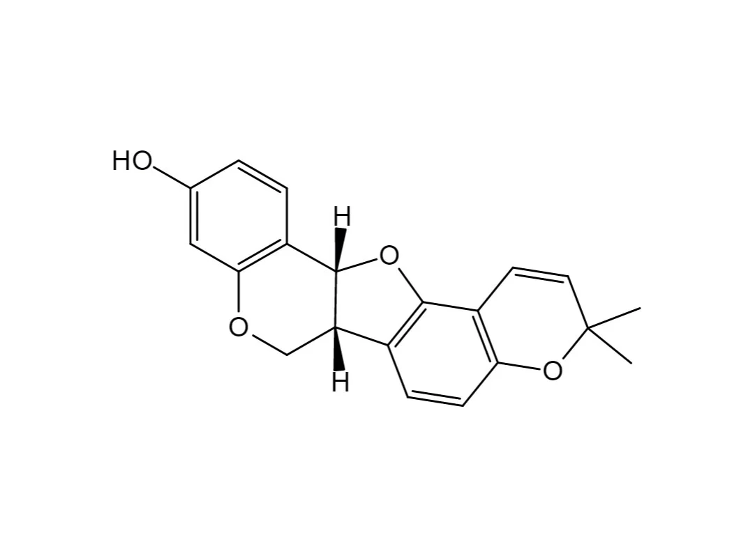 Structure of phaseolin