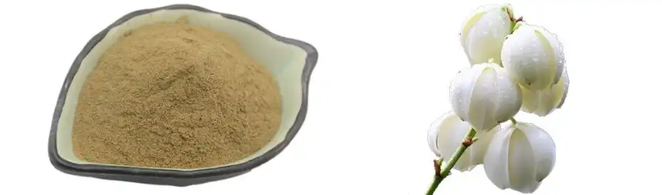 Yucca extract powder