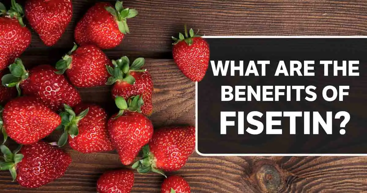 benefits of fisetin