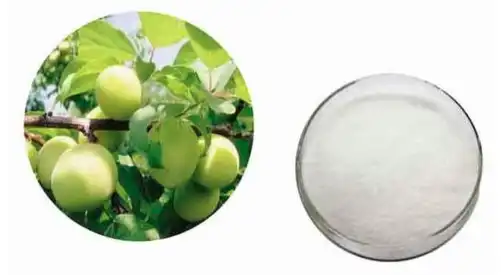 Oleanolic acid powder Oleanolic acid powder