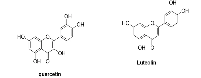 Luteolin Compare to Quercetin