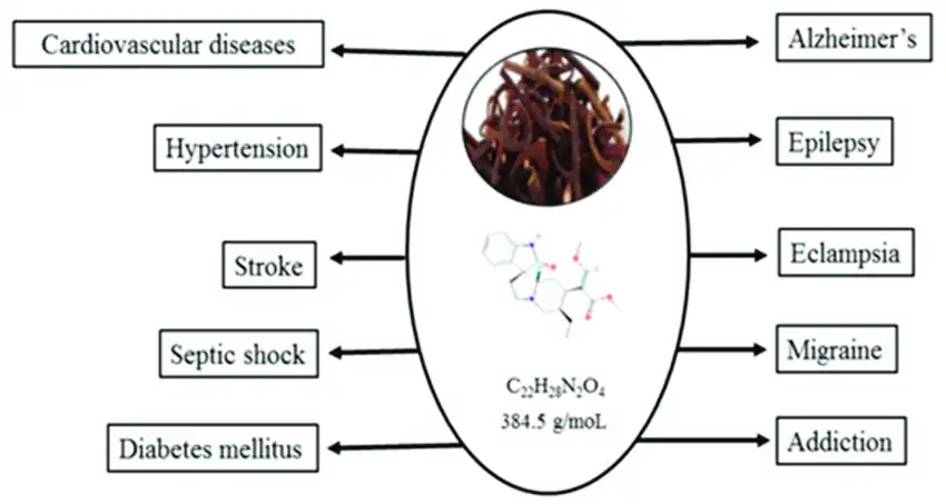 Pharmacological Effects of Rhynchophylline Powder