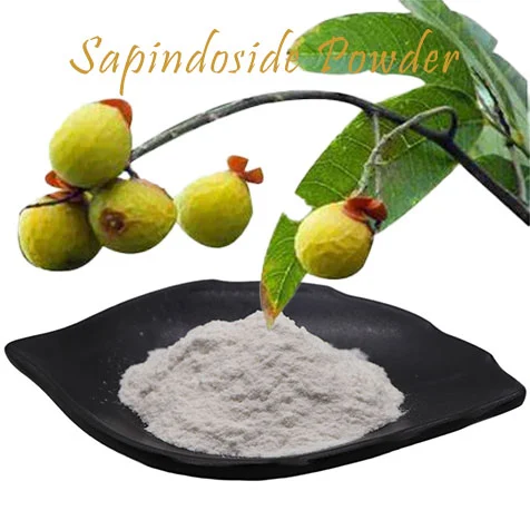 Sapindoside powder