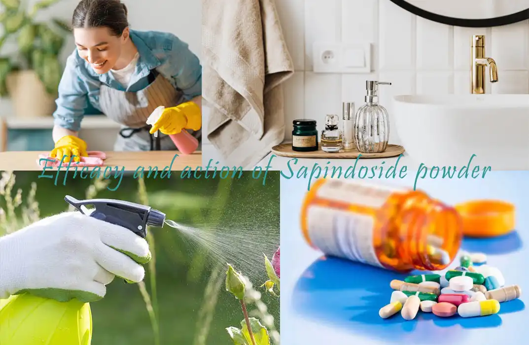 Efficacy and action of Sapindoside powder