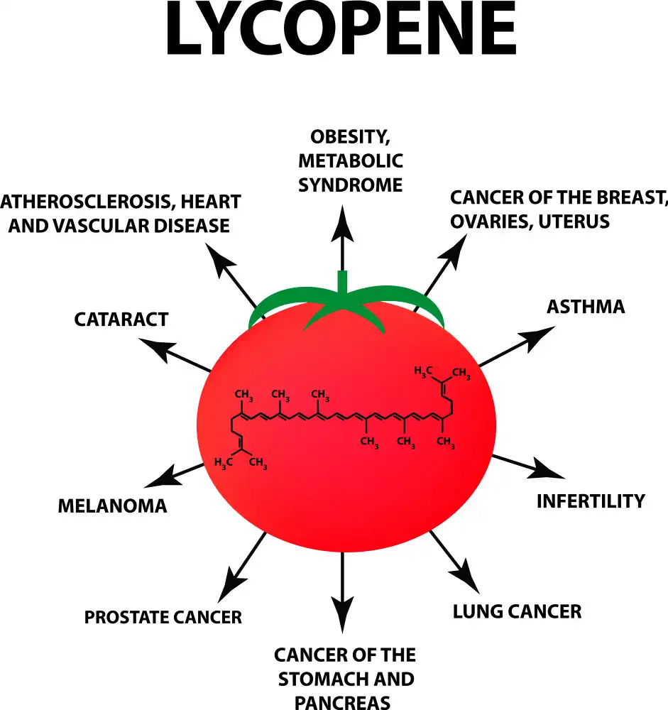 Benefits of Tomato Extract Lycopene