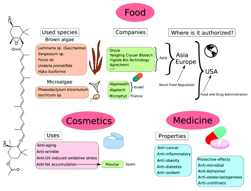 Applications of Fucoxanthin powder 