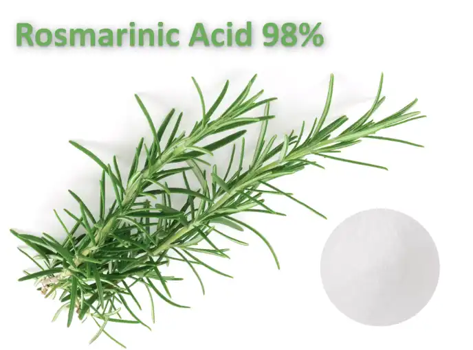 98% Rosmarinic acid powder