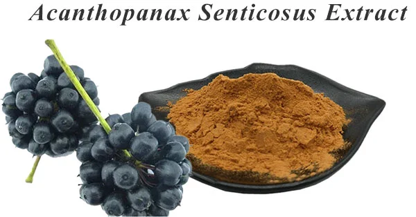 Acanthopanax Senticosus Extract