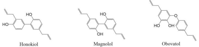 Active compounds of Magnolia