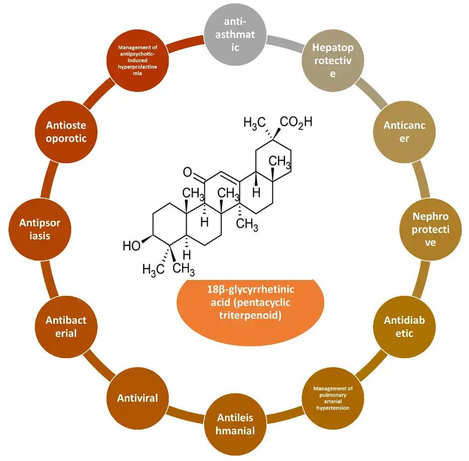 Benefits of 18 Beta Glycyrrhetinic Acid