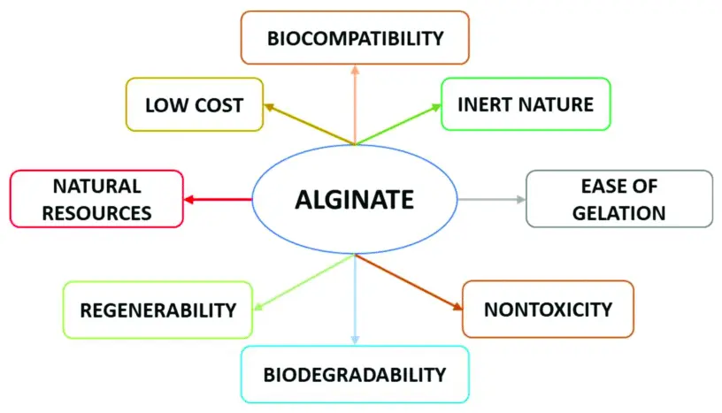 Functions of Sodium Alginate Powder