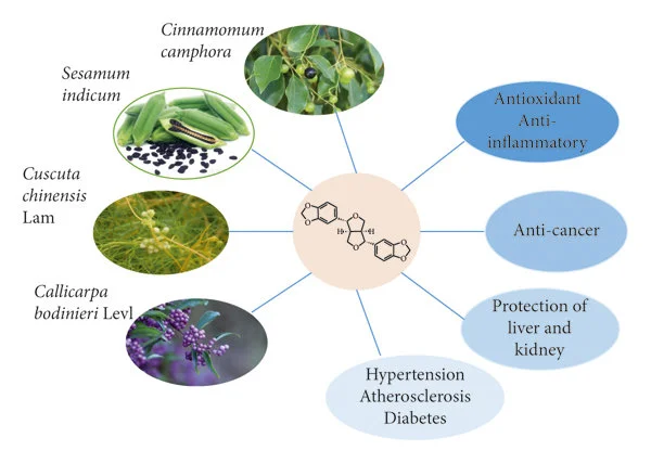 Benefits of Black Sesame Extract