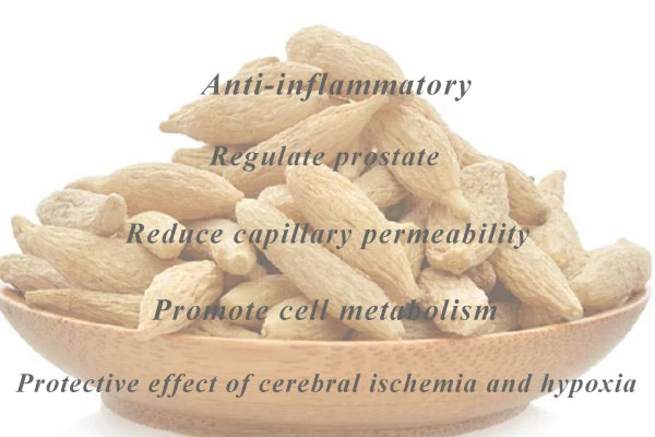 Pharmacological properties and effects of Ophiopogon Japonicus Root Extract