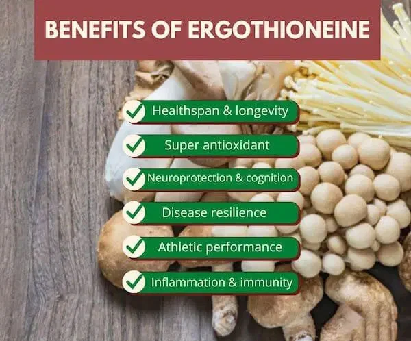 Benefits of L ergothioneine powder