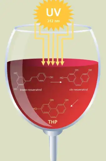 Resveratrol protects against UV damage