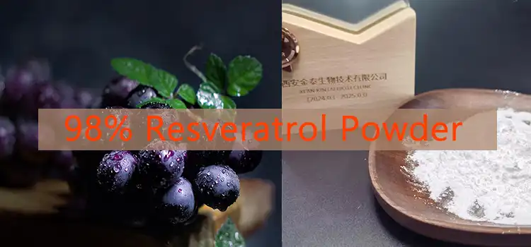 KINTAI's Resveratrol Extract Powder KINTAI's Resveratrol Extract Powder
