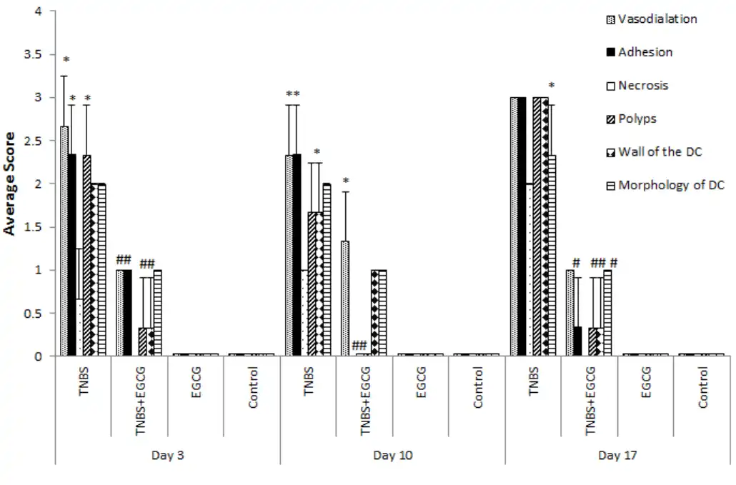 product-1030-679 product-1030-679