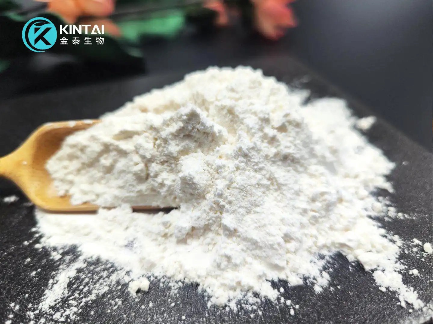 product-1440-1080 product-1440-1080