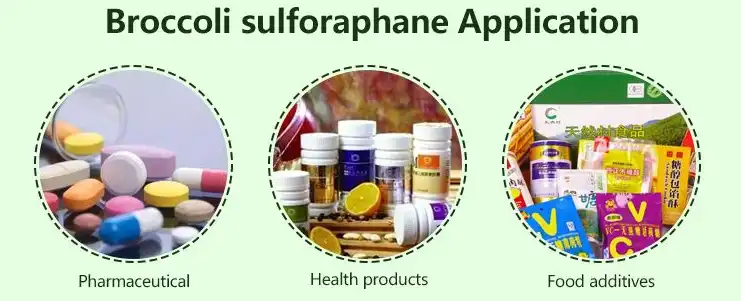 Application Fields of Sulforaphane