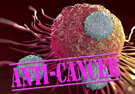 Sophocarpine has anticancer effects. Sophocarpine has anticancer effects.