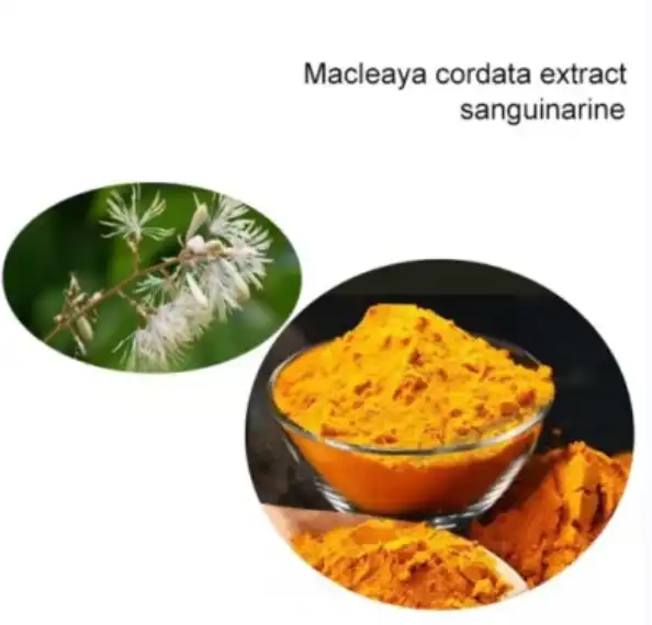 Macleaya Cordata total alkaloids powder